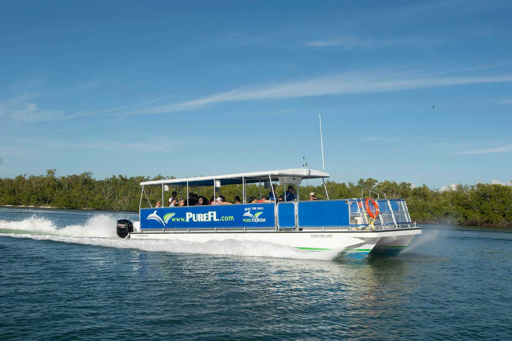 Dolphin eco EE